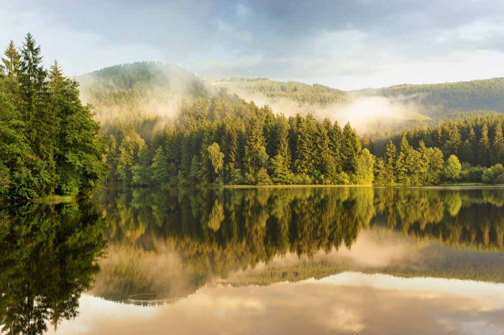 Malerischer Sösestausee im Harz mit nebelverhangenem Wald und spiegelnder Wasseroberfläche bei Sonnenaufgang. Unterkunft im Harz. Last Minute Urlaub Harz. Ferienwohnung Harz.