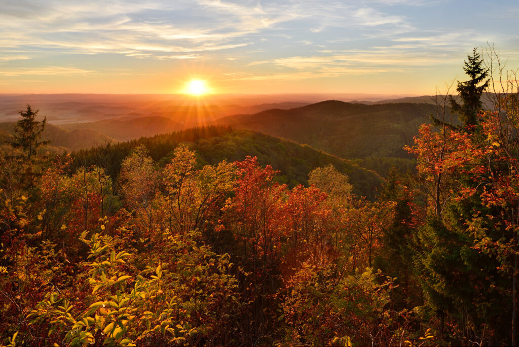 Ein atemberaubender Sonnenuntergang über herbstlichen, bewaldeten Hügeln mit leuchtenden Farben im Vordergrund.