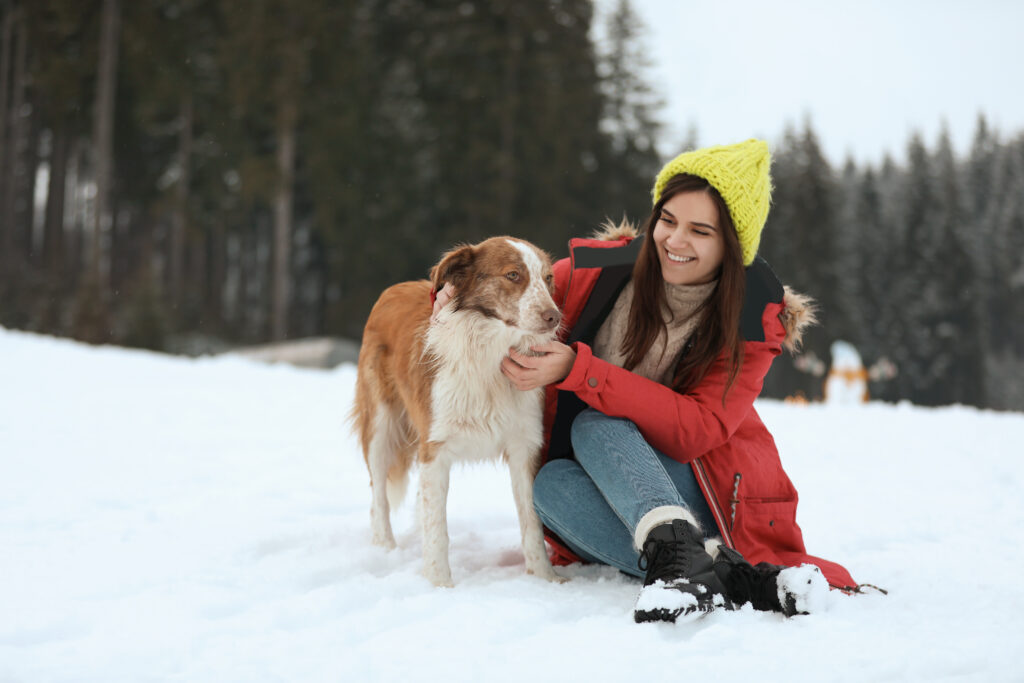 Urlaub mit Hund im Winter im Harz.
